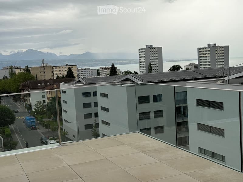 Magnifique appartement 2.5 pièces avec grande terrasse (3)