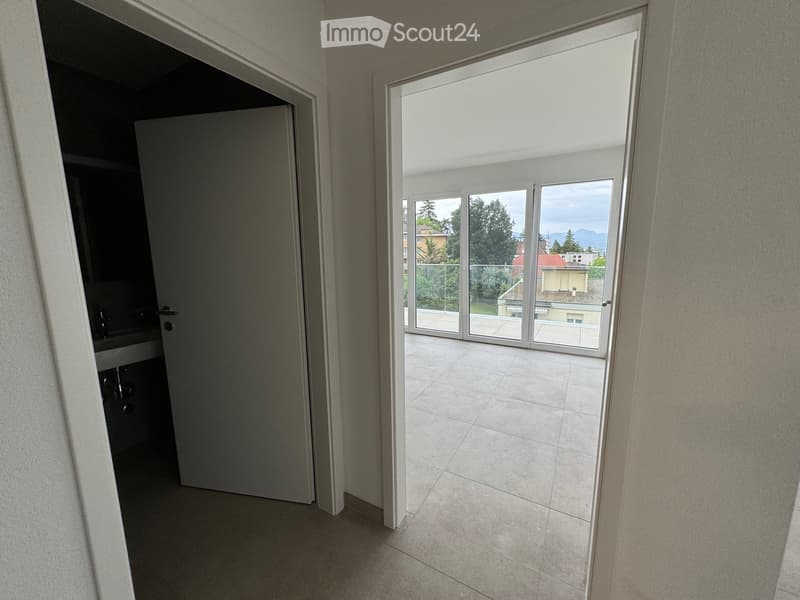 Magnifique appartement 2.5 pièces avec grande terrasse (5)