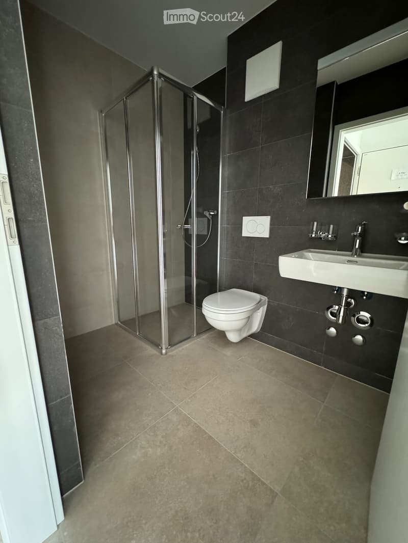 Magnifique appartement 2.5 pièces avec grande terrasse (6)