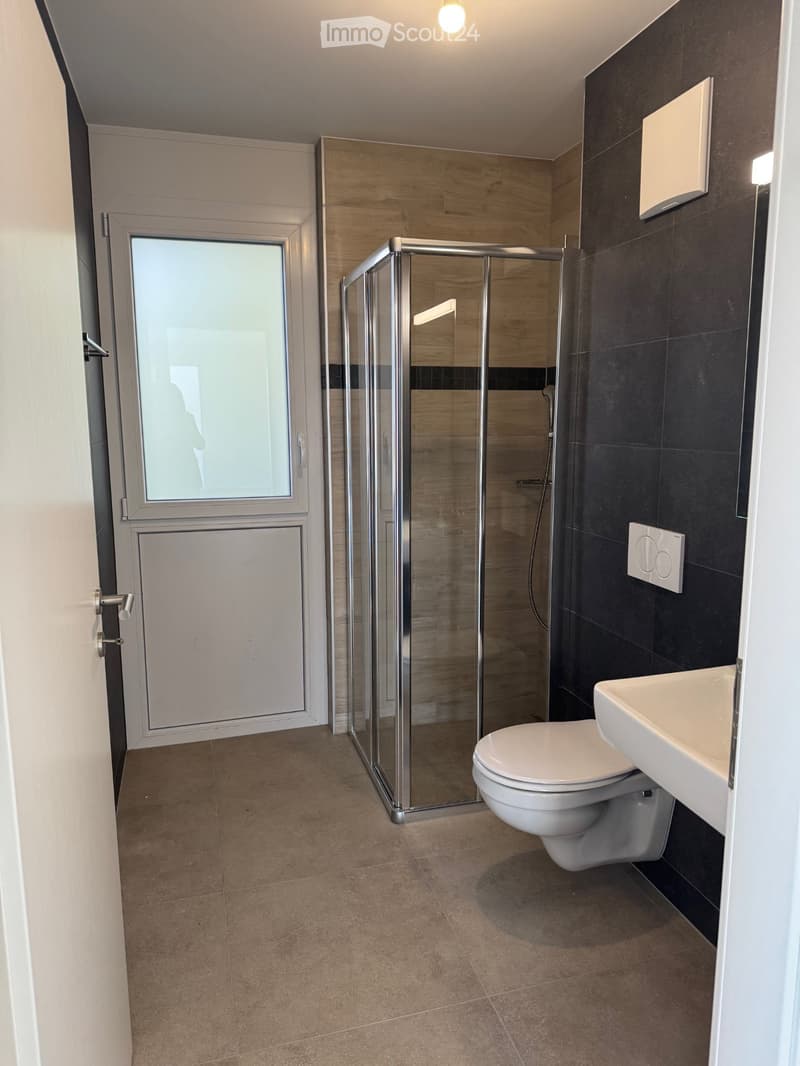 2.5 pièces avec balcon  Disponible de suite (3)