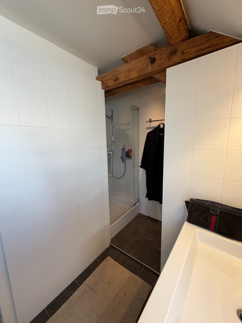 Sous-location / 6 mois / meublé. (3)