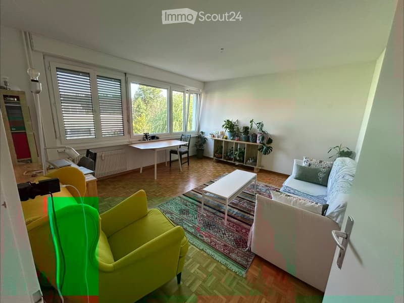 Appartement lumineux à Brügg BE (2)