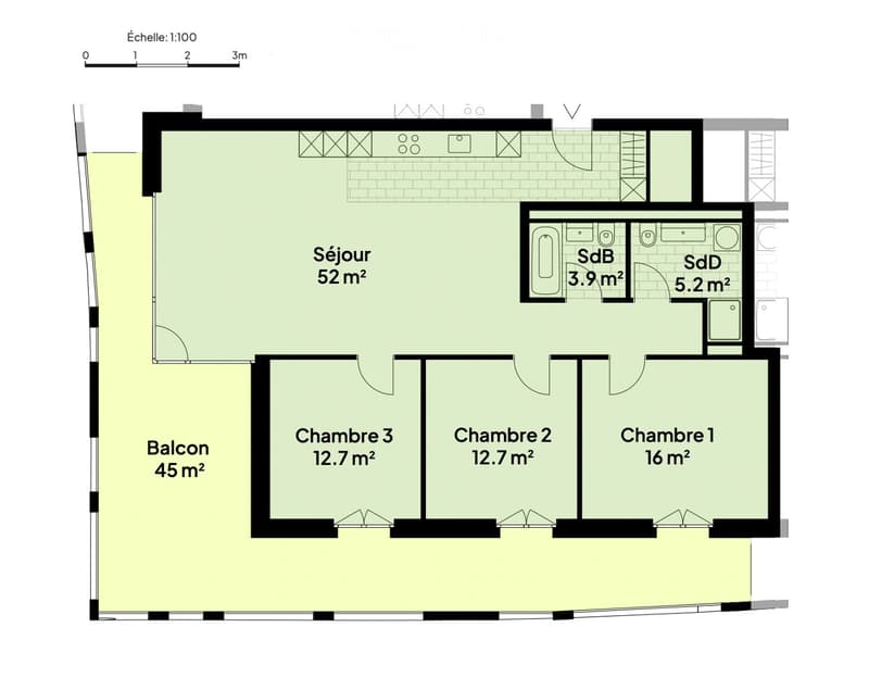 Magnifique appartement de 4.5 pièces au 7 étage (4)