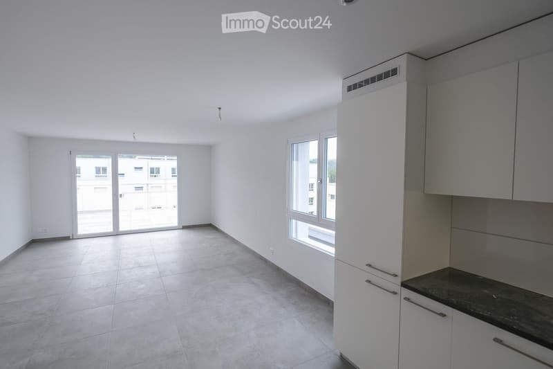 Magnifique appartement attique de 3.5 pces pour le 1.10.2026 (1)