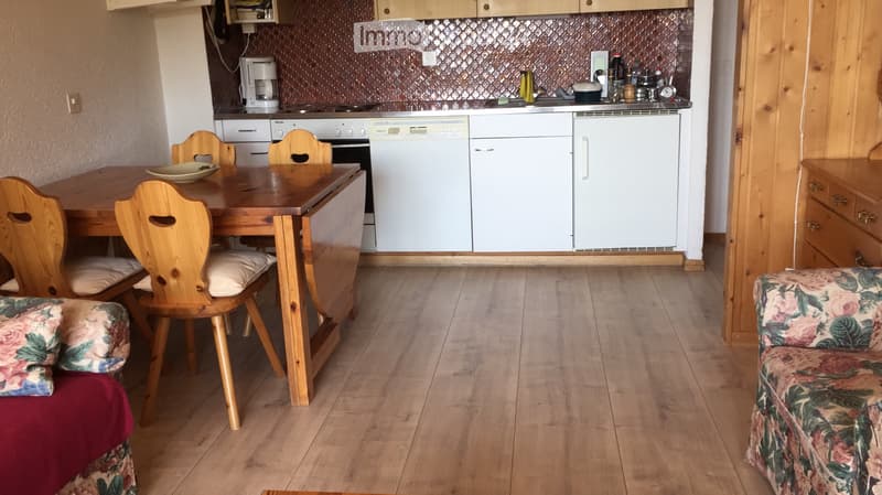 A louer Appartement: 2 ½ pièces; Alpes Vaudoises (4)