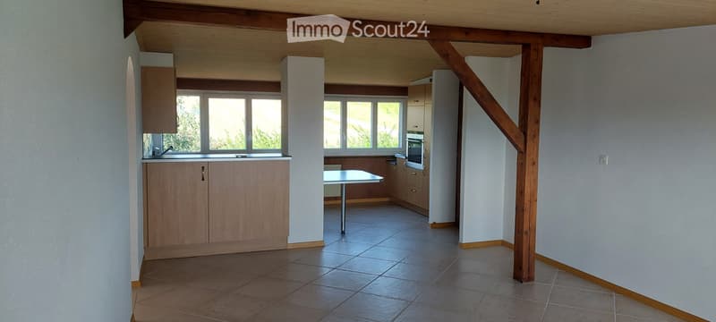 Appartement de 4.5 pièces mansardé, sous les combles (4)