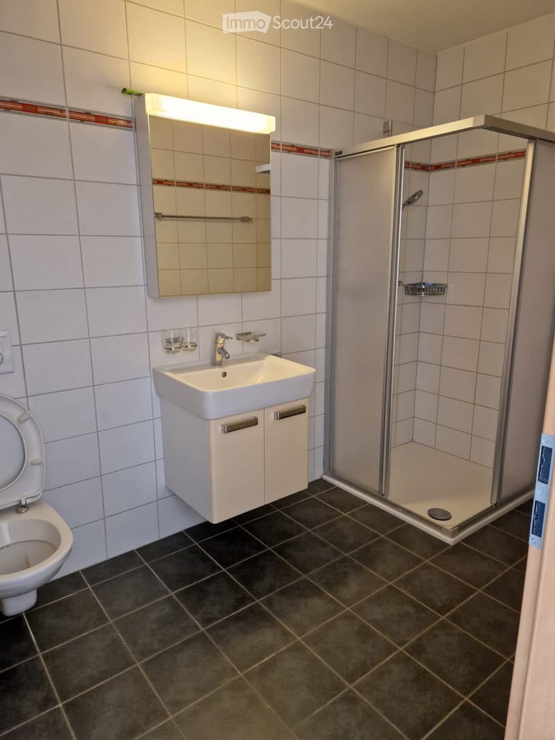 À louer Bel appartement duplex de 5,5 pièces, 145 m² (5)