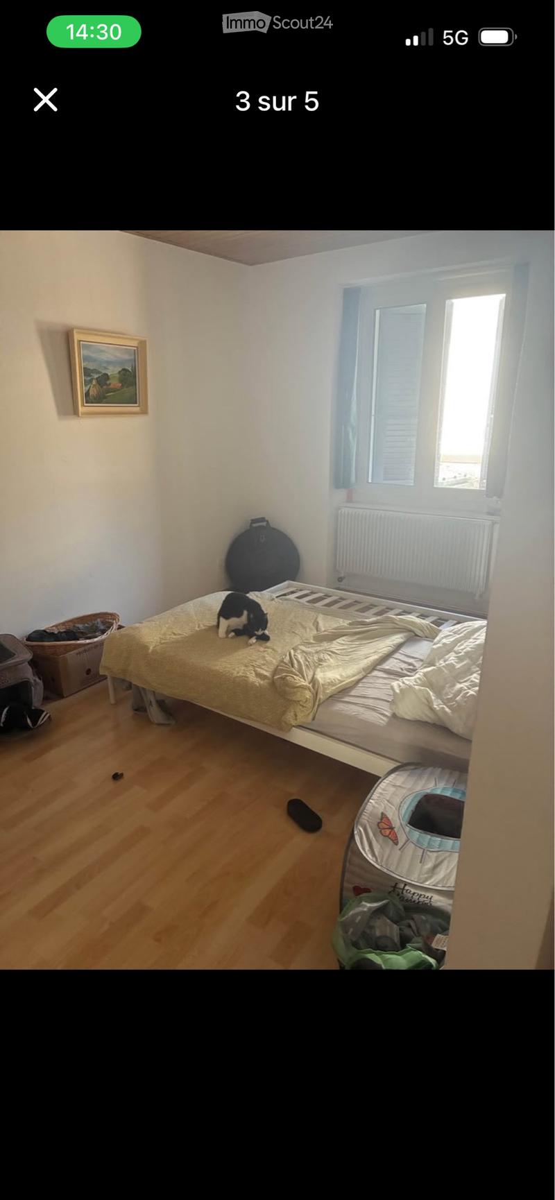 Appartement 1,5 pièce à Moutier (3)