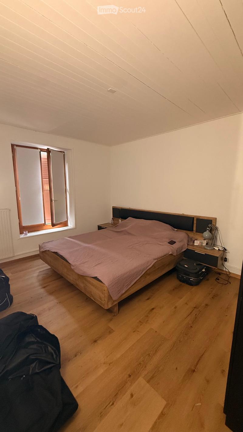 Bel appartement lumineux à Versoix  Vue sur le lac (4)