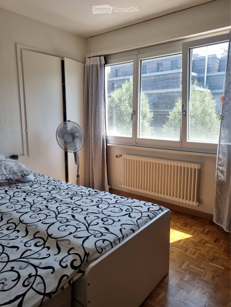 Magnifique appartement de 3 pièces - Libre 1er octobre (2)