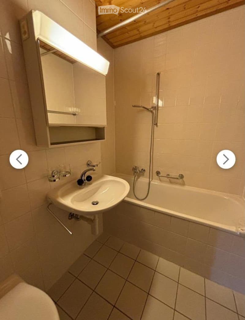 Duplex lumineux 5.5 pièces à Morrens (VD) (4)