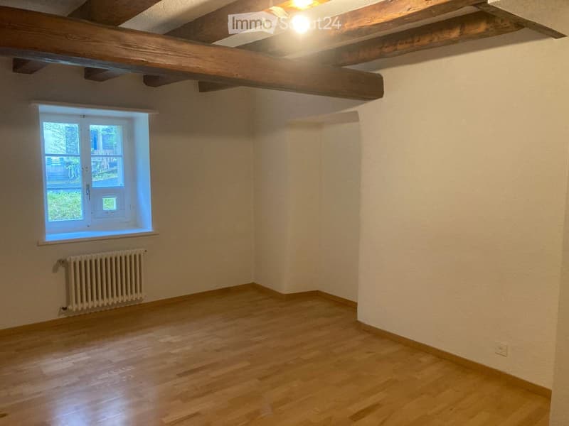chambre en colocation sur les hauts de Villeneuve (4)