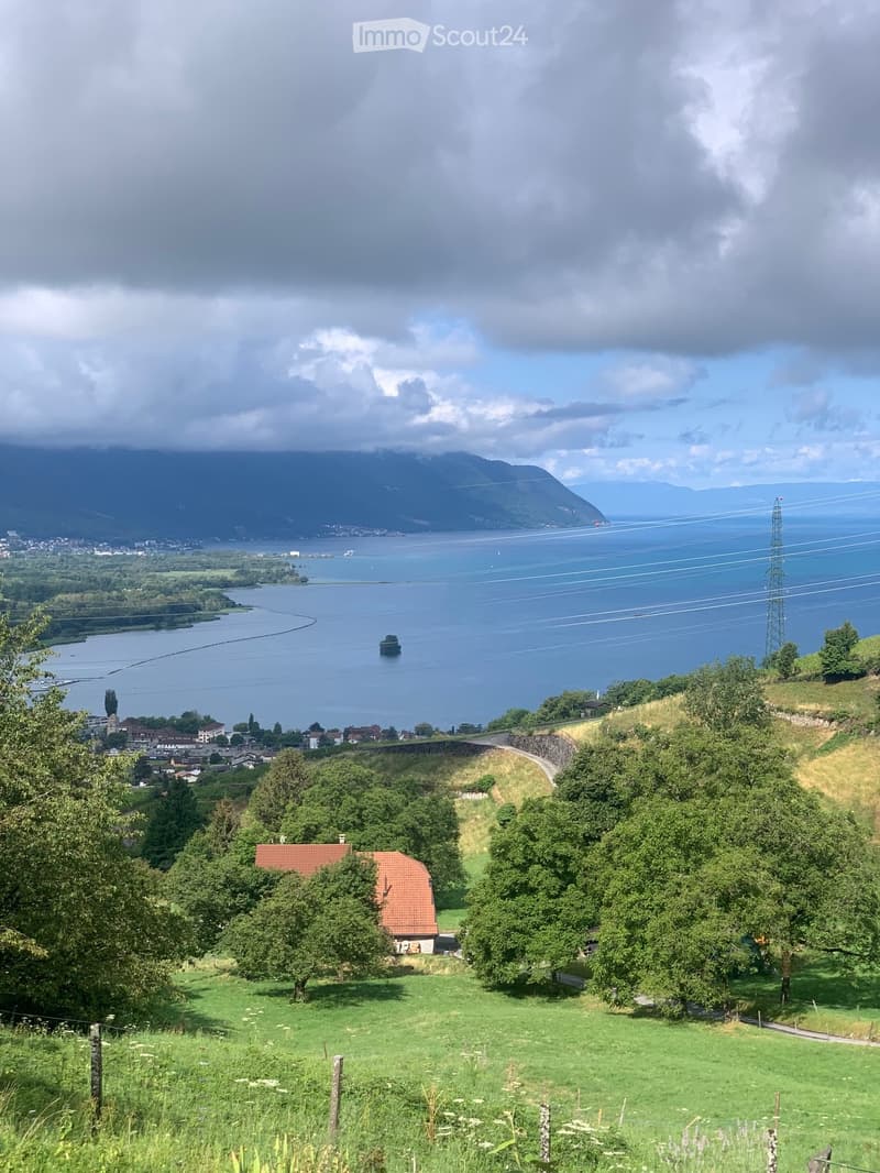 chambre en colocation sur les hauts de Villeneuve (1)