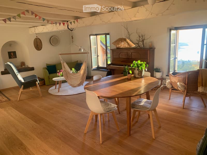 chambre en colocation sur les hauts de Villeneuve (2)