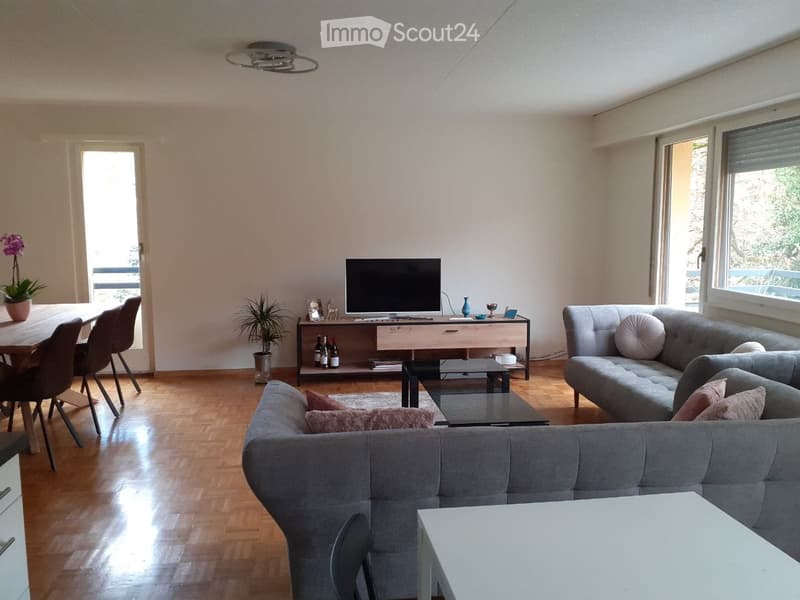Appartement de 3 pièces rénové avec une belle vue (3)