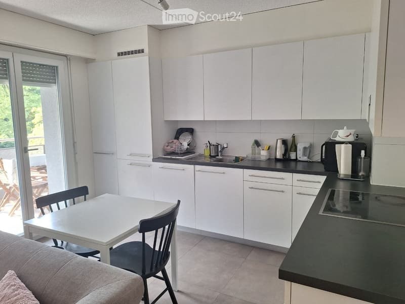 Appartement de 3 pièces rénové avec une belle vue (2)