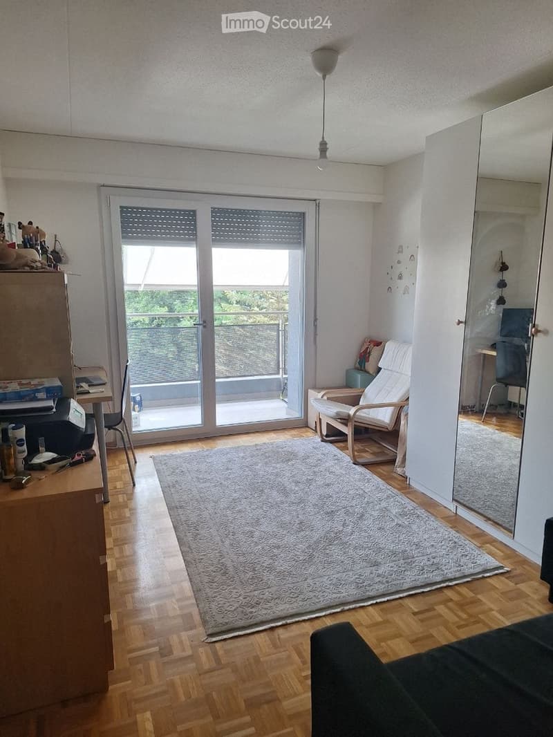 Appartement de 3 pièces rénové avec une belle vue (5)