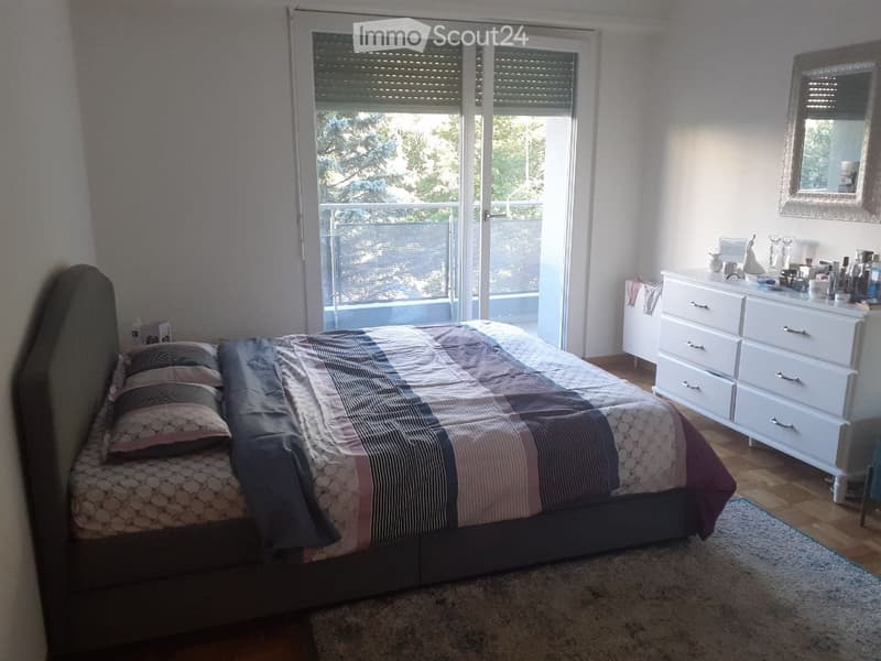 Appartement de 3 pièces rénové avec une belle vue (4)