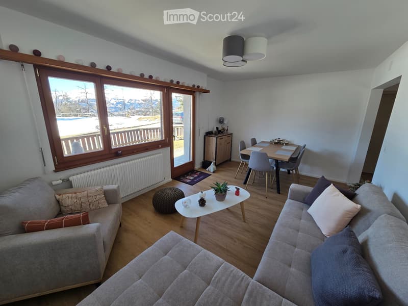Charmant appartement meublé avec terrasse et garage (1)