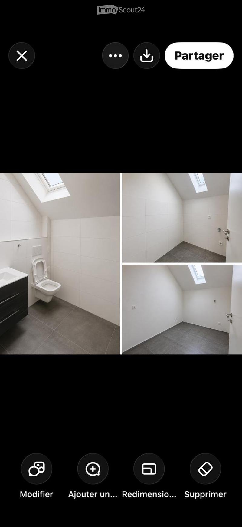 A louer appartement 5.5 pieces (2)