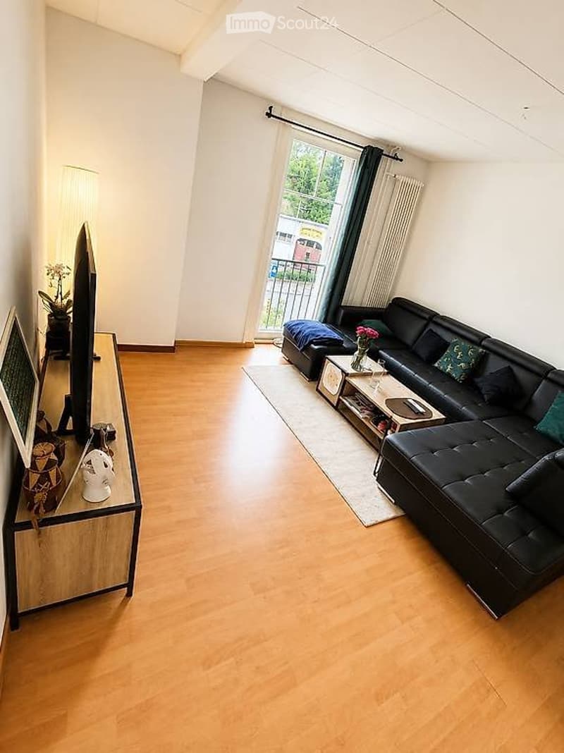 Appartement 3,5 pces à louer (1)