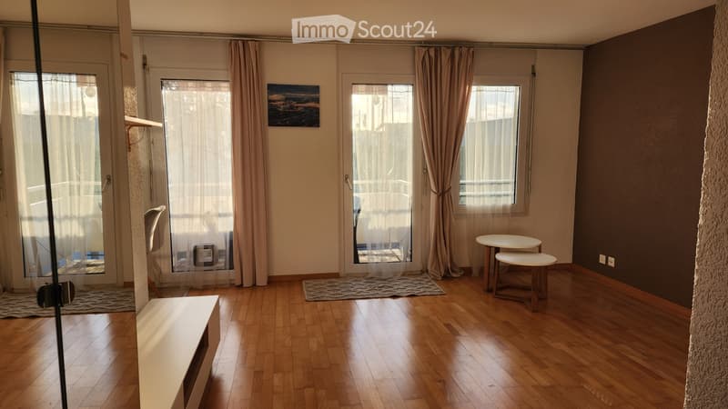 Appartement lumineux de 3,5 pièces, proche du lac (1)