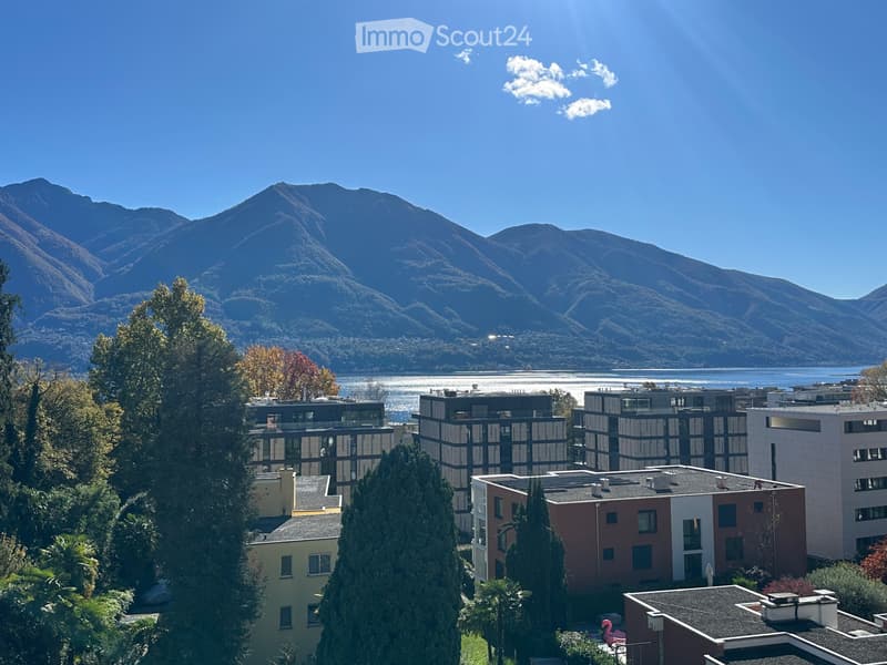 Lake & Mountain View - beautifully 1.5-room Attic - Minusio (1)