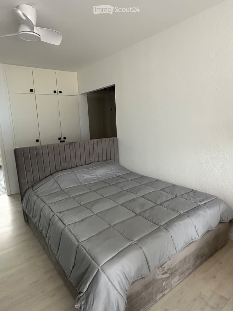 Lake & Mountain View - beautifully 1.5-room Attic - Minusio (5)