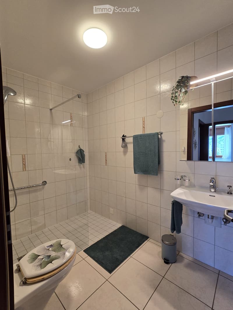 À louer- Sion chambre colloc- app. meublé 3.5 pièces 88 m2 (5)