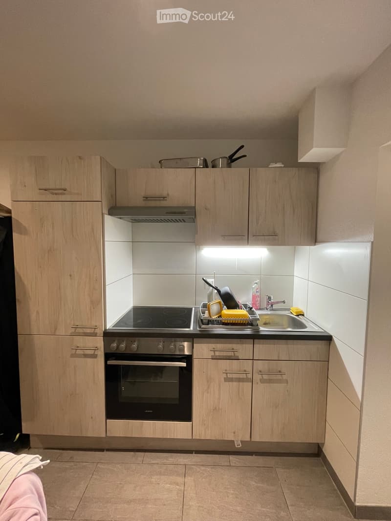 Reprise de bail - Appartement meublé rénové à neuf (2)