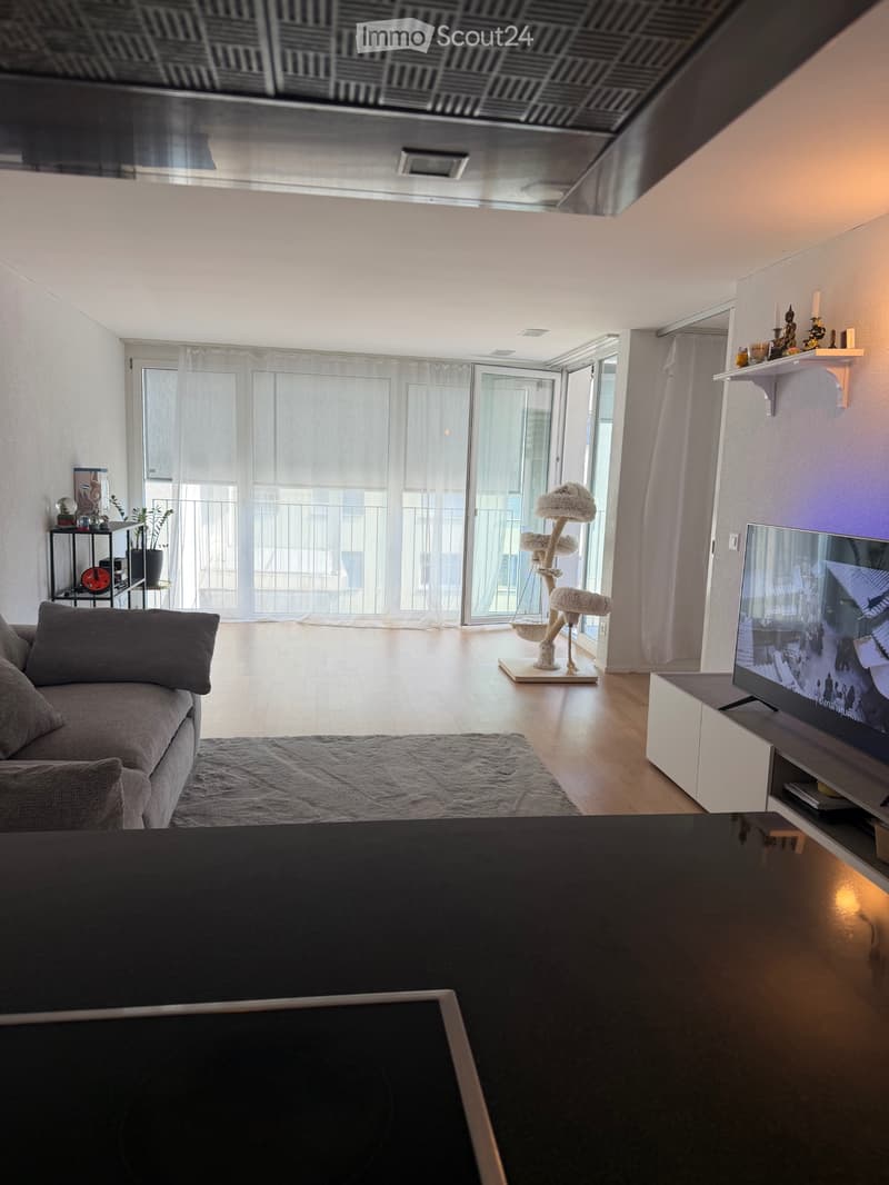 Nachmieter gesucht schöne 3.5-Zimmer-Wohnung (5)