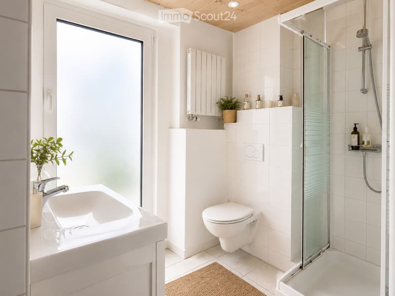 Appartement entièrement meublé de 2.5 pièces (3)