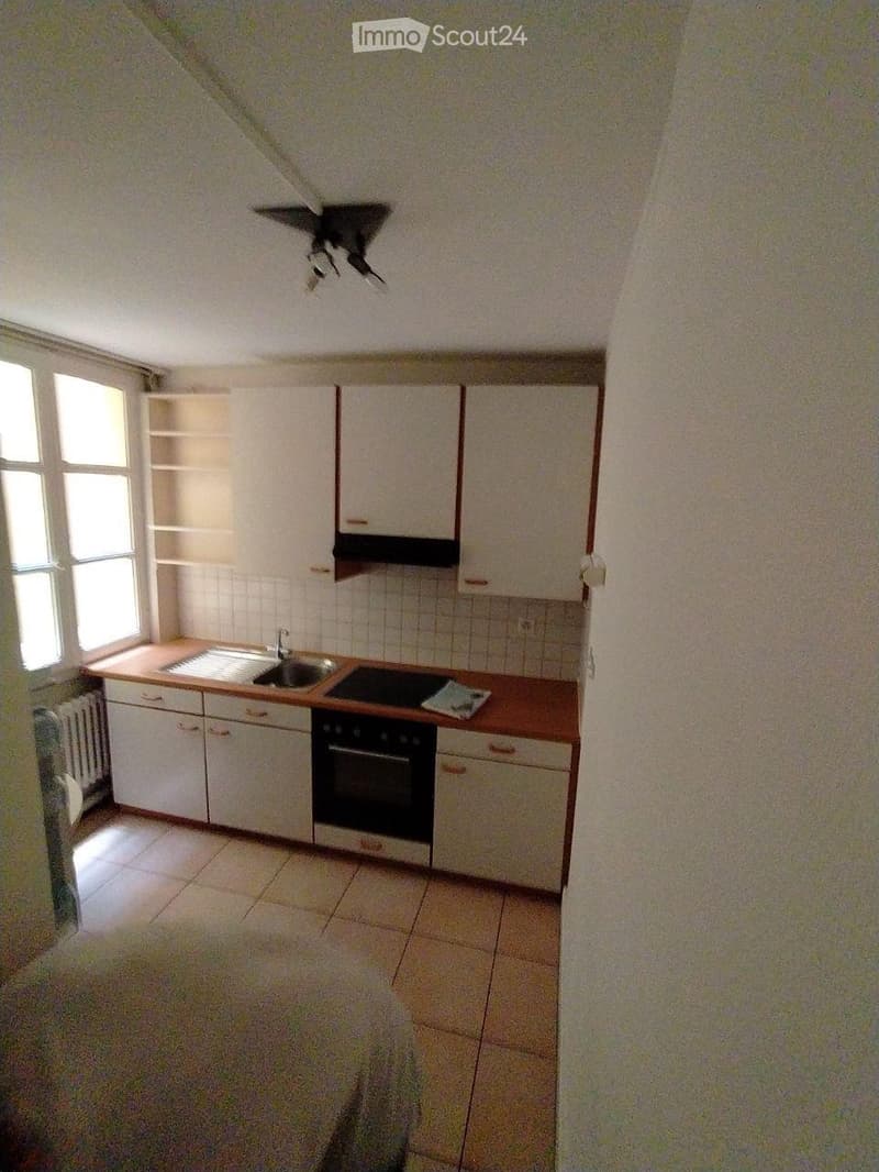 Appartement parisien Nyon (4)