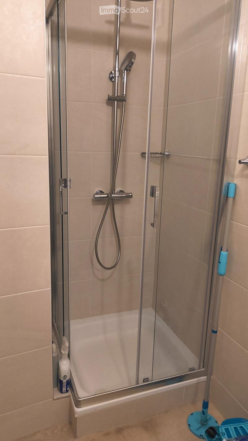 Grand studio de 40 m2 rénové et lumineux à Grand-Lancy (5)