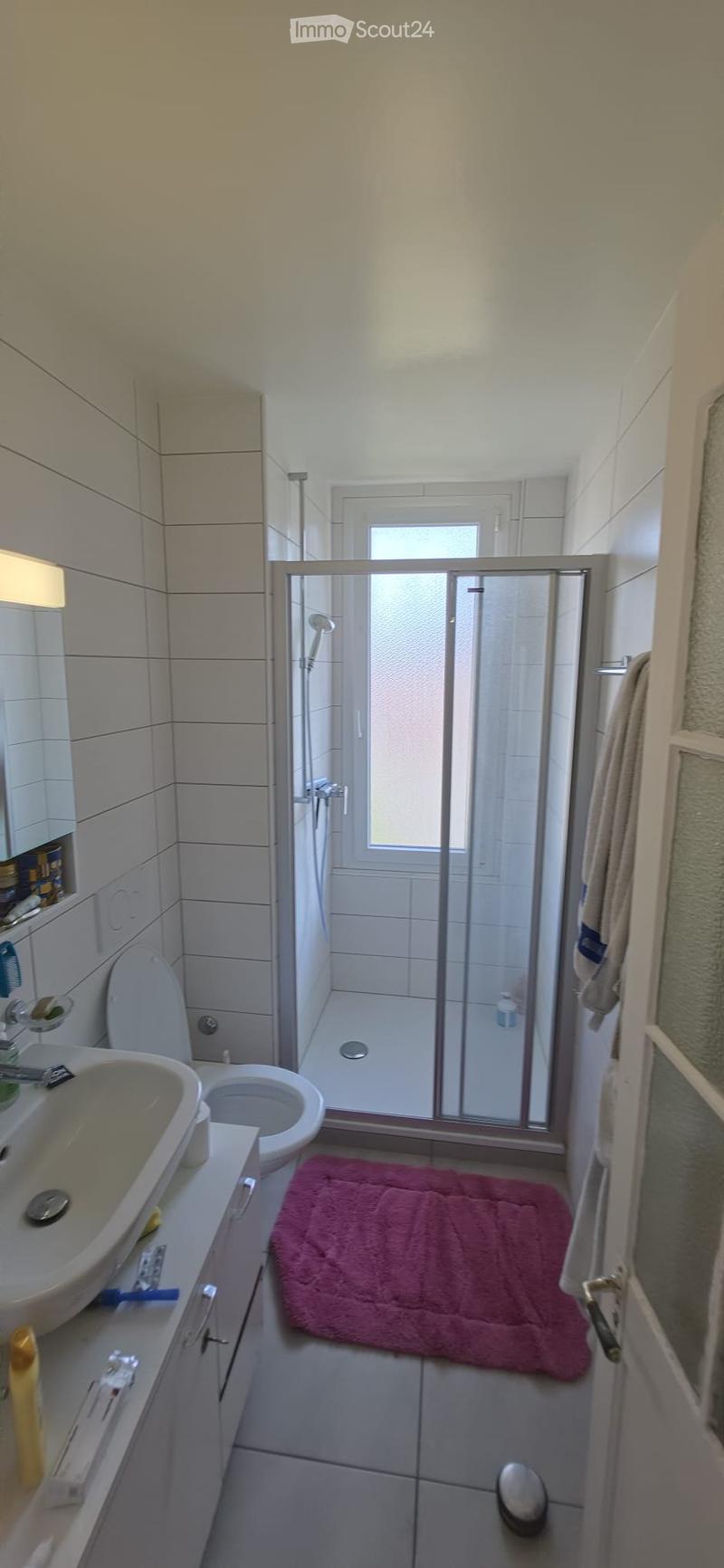 Appartement lumineux (3)