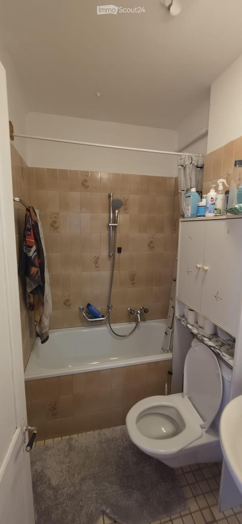 Appartement lumineux (2)