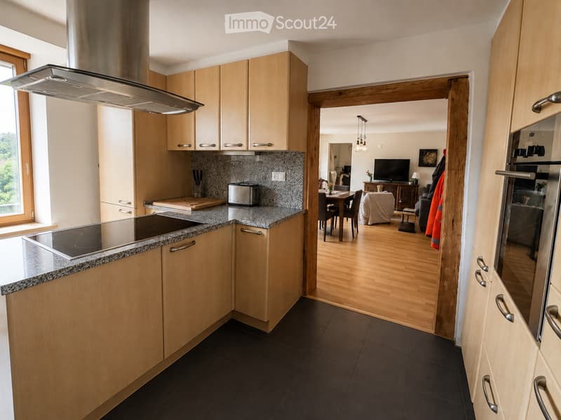 Grande chambre meublée en colocation 120 m² CHF 790.- (5)
