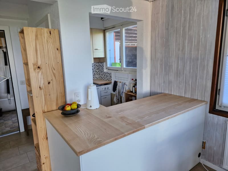 App. près de NE, villa familiale, à la lisière de la forêt (4)