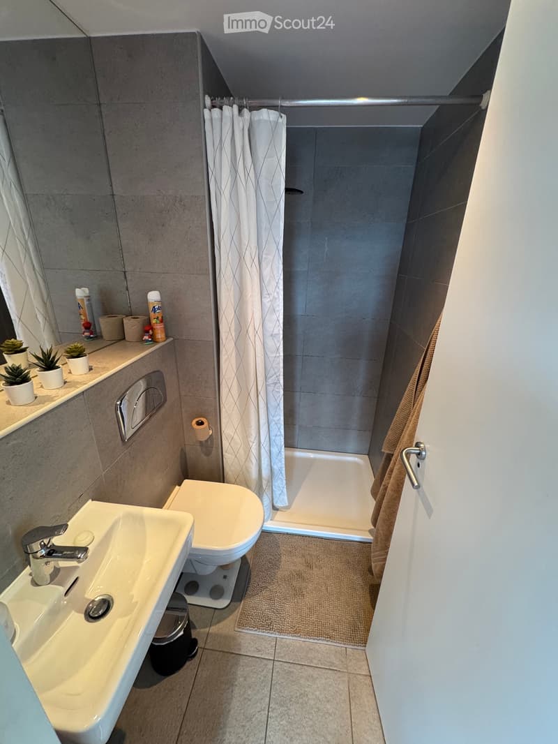 Reprise de bail : Appartement 3.5 pièces meublé (4)