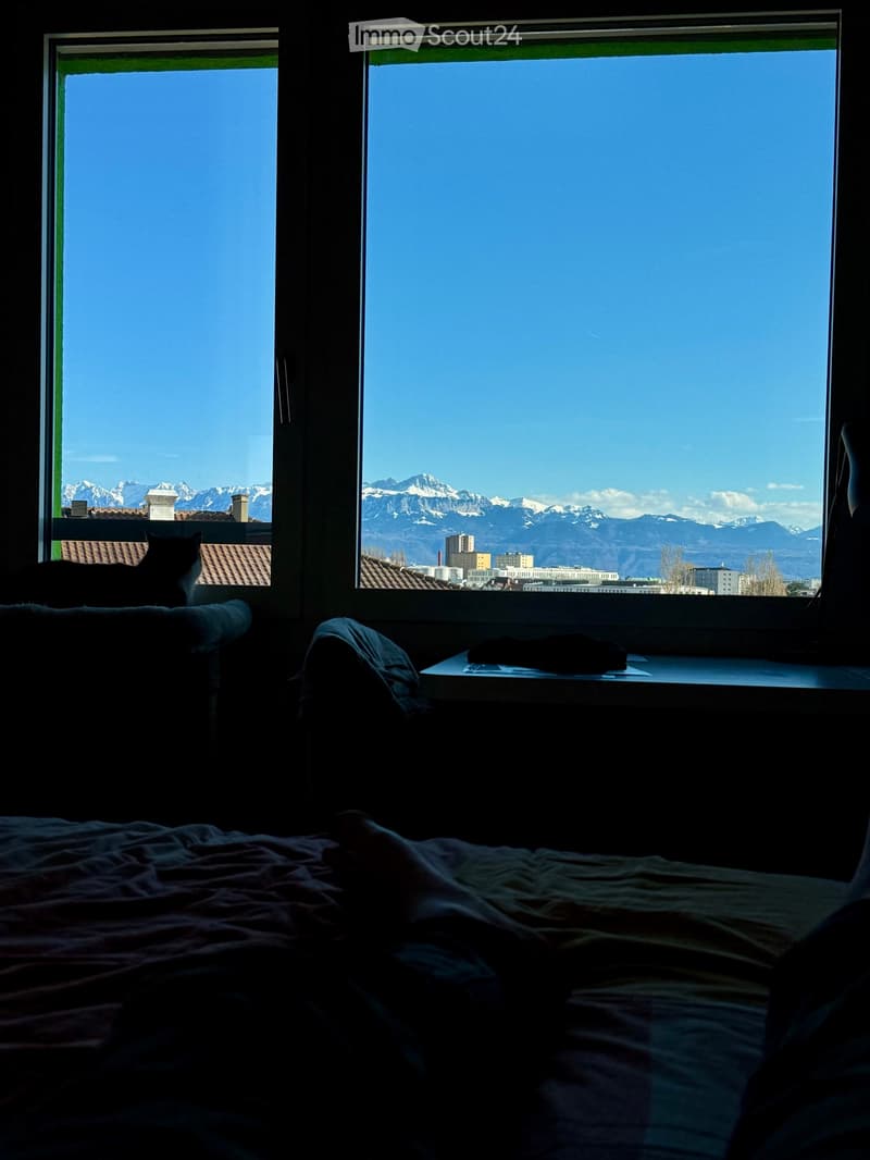 Reprise de bail : Appartement 3.5 pièces meublé (5)