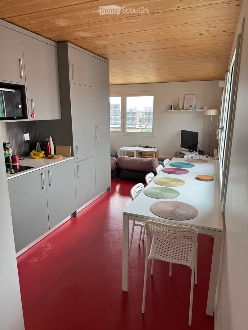 Reprise de bail : Appartement 3.5 pièces meublé (1)