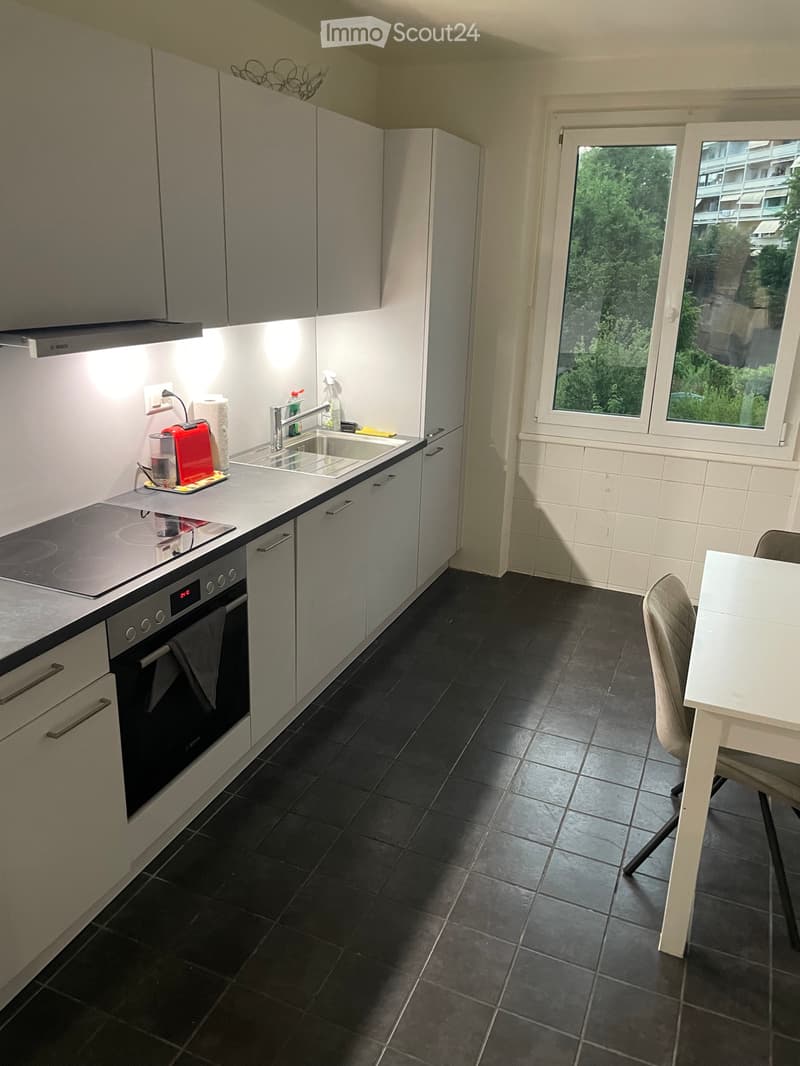 Colocation à Lausanne Prilly malley (2)