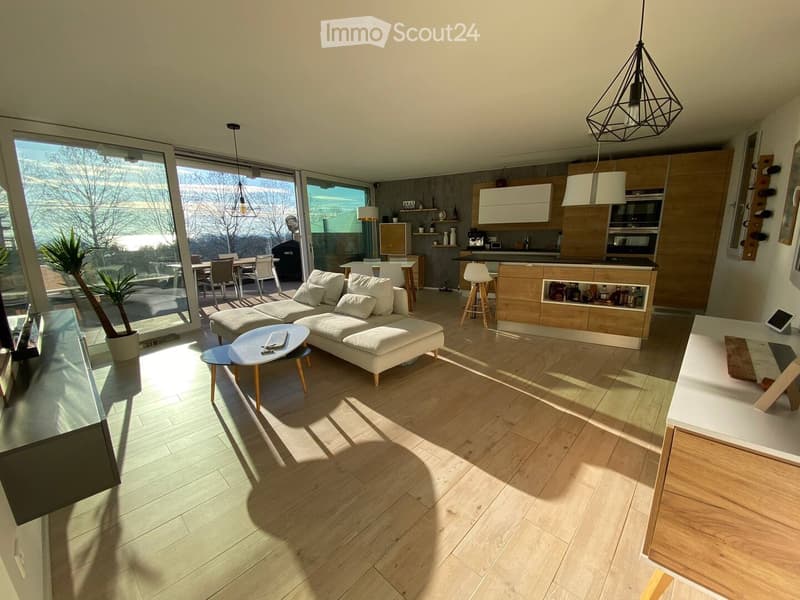 Vacances à Lausanne, bel appartement meublé, luxueux (3)