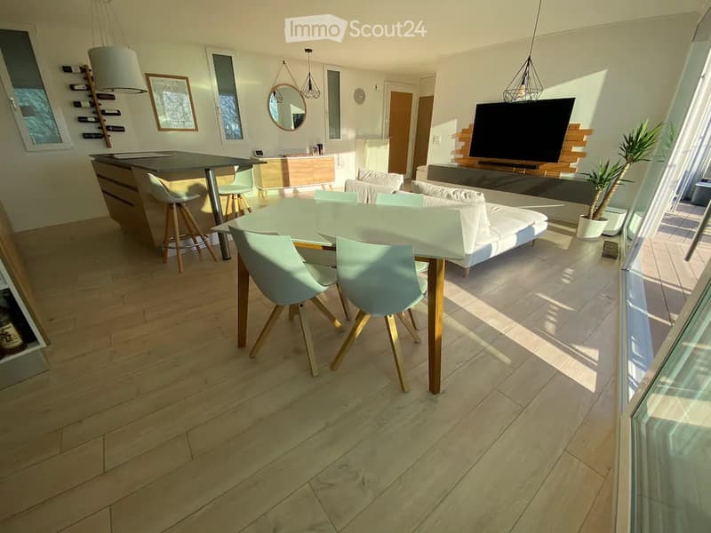 Vacances à Lausanne, bel appartement meublé, luxueux (2)