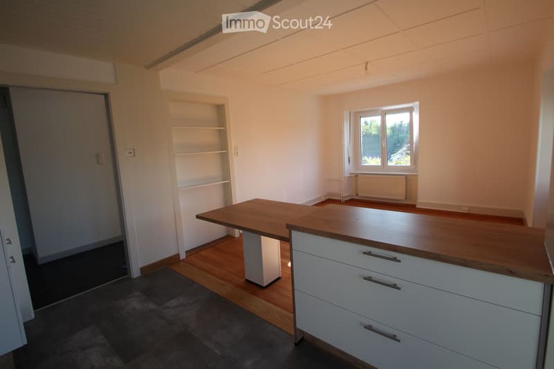 Appartement avec terrasse et jardin (3)