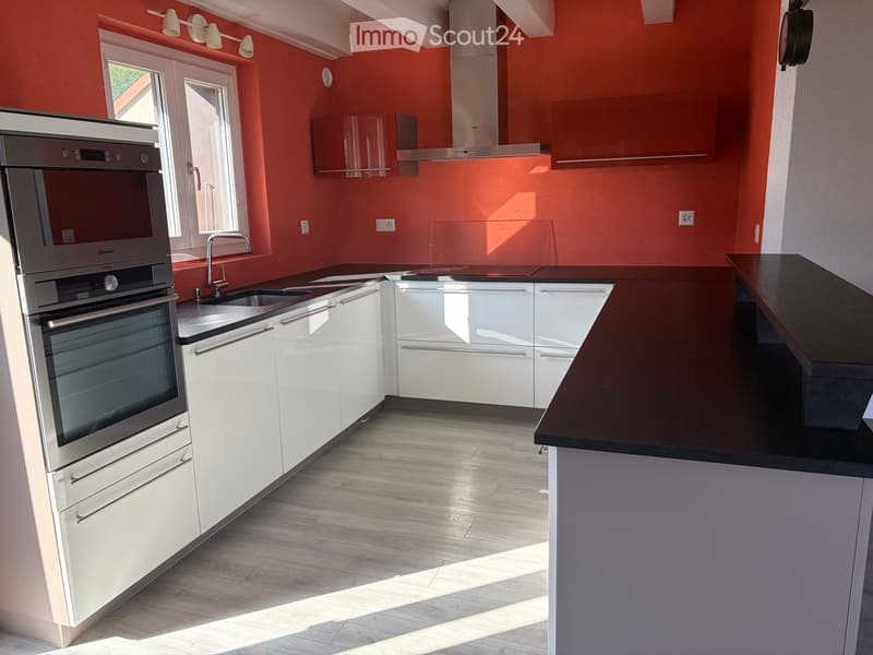 À louer  Superbe duplex de 3½ pièces avec terrasse, garage (4)