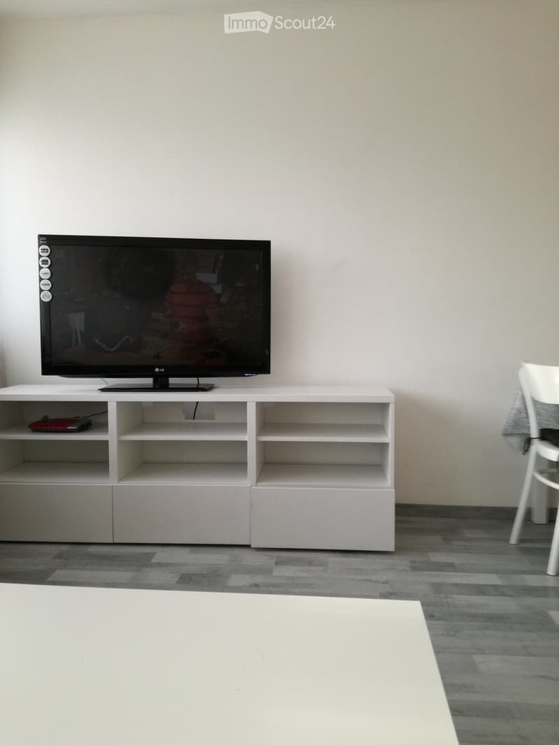 Möbliertes 1-Zimmer-Apartment (2)