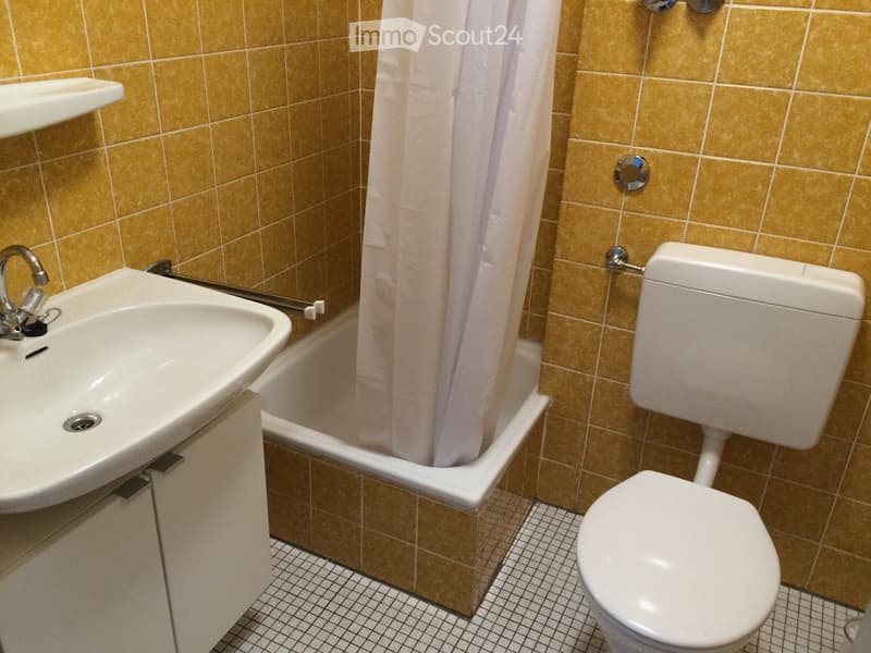 Möbliertes 1-Zimmer-Apartment (5)