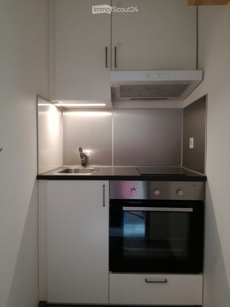 Möbliertes 1-Zimmer-Apartment (4)