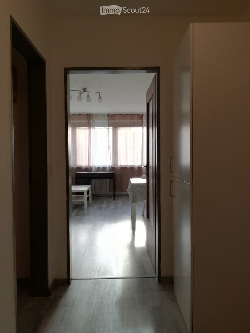 Möbliertes 1-Zimmer-Apartment (3)